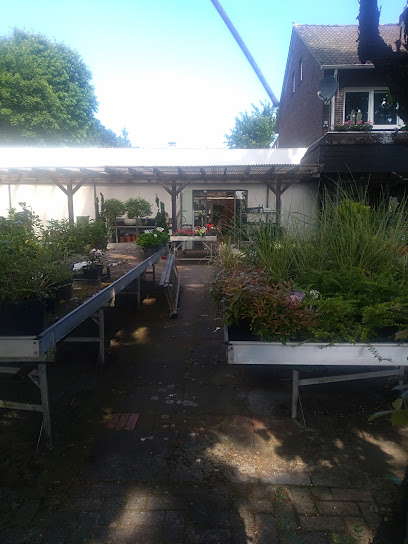 Blumen Pieper