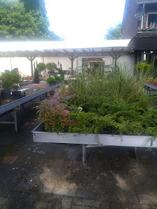 Blumen Pieper
