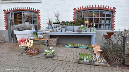 Blumenwerk Nordhorn