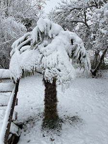 Gartenbaubetrieb F. Piepel