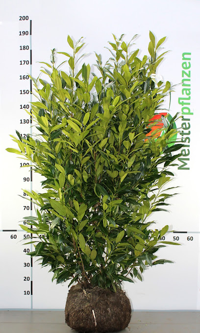 Gardline