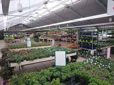Gartencenter Grünwald GmbH & Co. KG