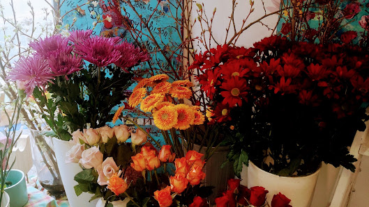 Andis Blumenecke