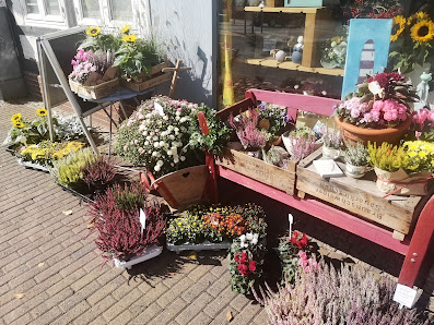 Andis Blumenecke