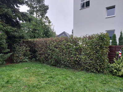 Kindermann Gartenpflege