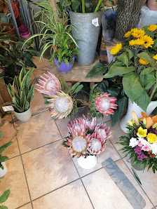 Das Blumenhaus