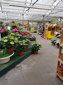 Wiesmoor Blumencenter Emden