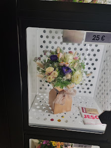 BlütenBox - Schönes auf Knopfdruck