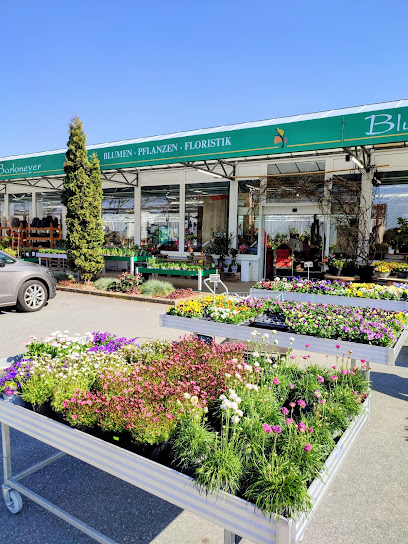 Blumenhof Barkmeyer GmbH