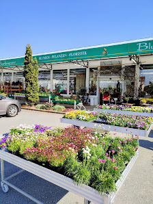 Blumenhof Barkmeyer GmbH