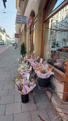 Petra Müller Blumen