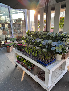 Blumen Interfleur Floristik & Wohnaccessoires