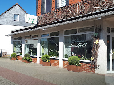 Blumen Landfeld