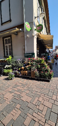 BLUME2000 Goslar
