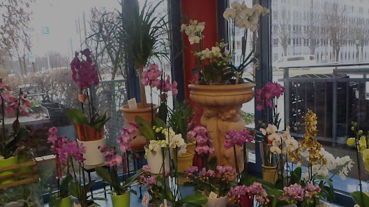 Blumen Stockmaier