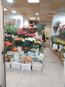 Viet An Blumen & Pflanzen
