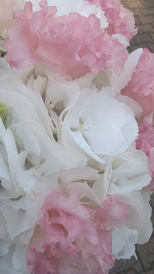 SANAs FLORESCO
