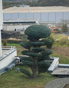 Gjendi Gartenbau