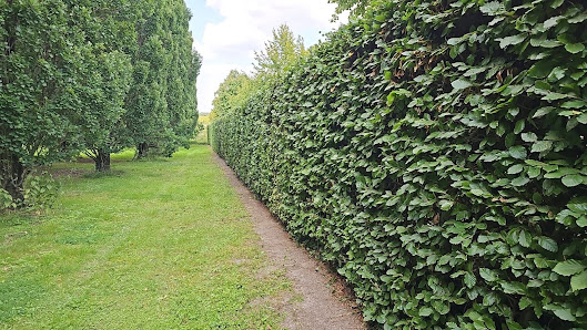 Gartenservice Hebold