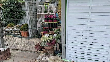 Blumen Behrendt