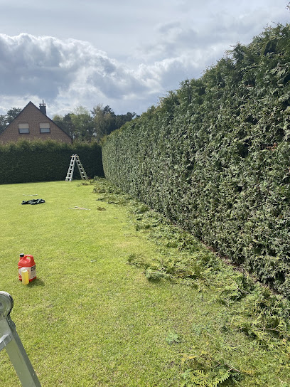 Ibrik-Gartenpflege