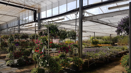 Blumen Bartling