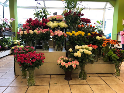 Blumenhaus Schaper