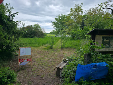 Market Garden Green Carrot Florian Wienhold