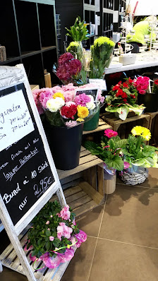 Blumen Bodo Bohlmann