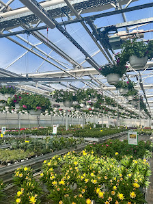 Blume & Co | Gärtnerei und Floristik bei Verden