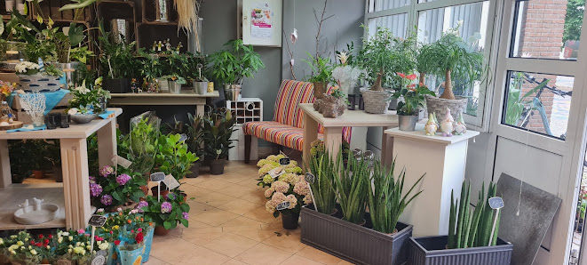 Der Blumenladen Jan & Kai Hartmann GbR