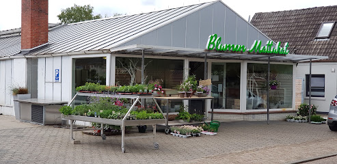 Blumen Mattukat