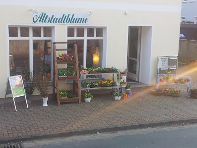 Altstadtblume