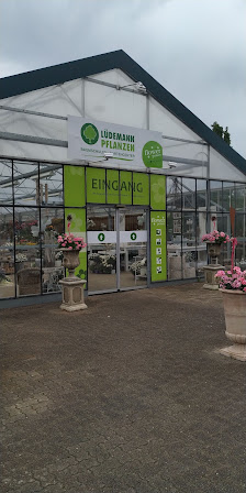 Lüdemann Pflanzen GmbH