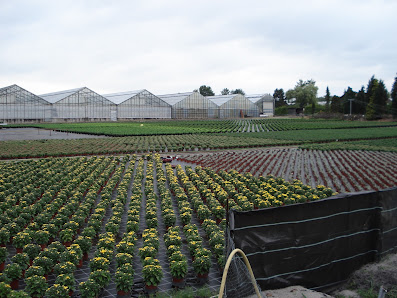 Gärtnerei Grotum