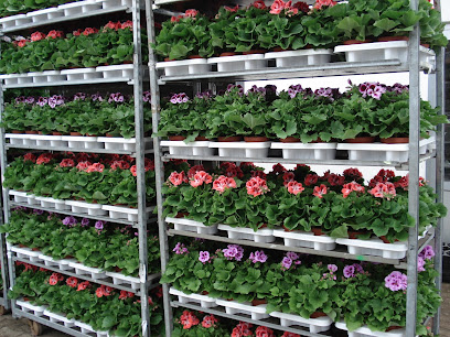 Blumenlieferant in Kirchlinteln