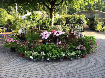 Wolters Garten- und Landschaftsbau & Baumschulen
