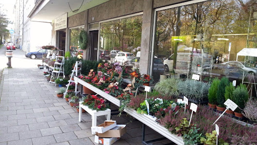 Blumenhaus Koch