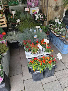 Blumen Ruf