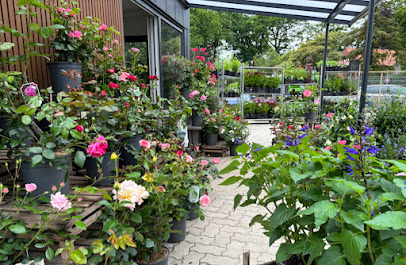 Blumen Röhrs Gartencenter