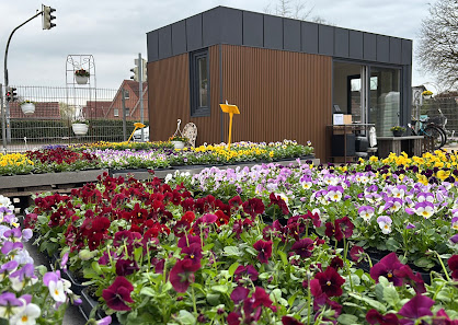 Blumen Röhrs Gartencenter