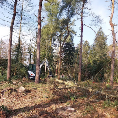 Maurice Junge Garten- und Landschaftsbau