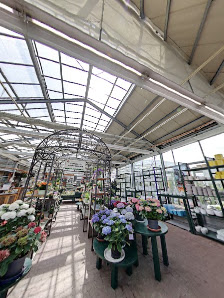 Blumen Weese, Gärtnerei