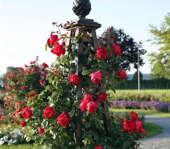 Zanker Gartenbau