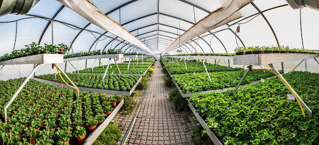 Zanker Gartenbau