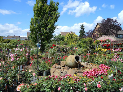 Meyerholz Gartencenter Baumschule Garten- und Landschaftsbau
