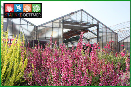 Gartenbaubetrieb Stahnke-Dettmer GbR