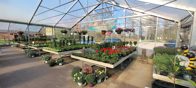 Blumenhof Neubokel - Sträuße, Floristik, Topfpflanzen, Kräuter und Gemüse