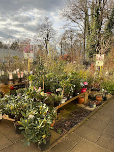 Grüner Garten