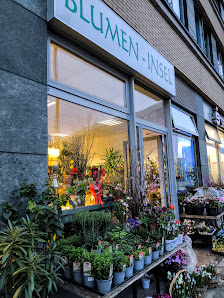 Die Blumeninsel